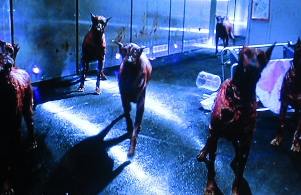 Fanbase Press’ Scariest 2025: ‘Resident Evil’ 6 RI Image 7