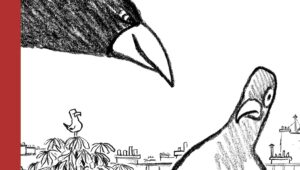 Interviews 21 Pigeons