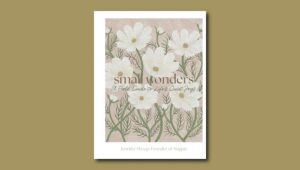 Small Wonders JS
